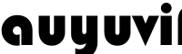 auyuvifundraisingbytotalconcepts bags
